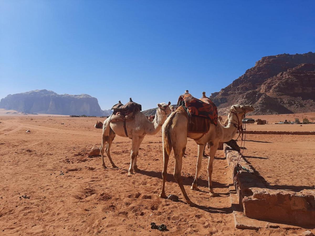 Wadi Rum Secrets Camp Exterior foto